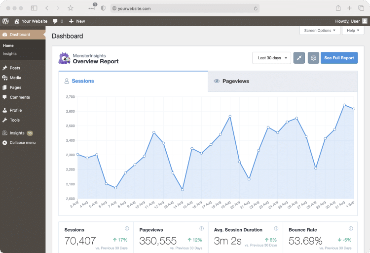 WordPress MosterInsights